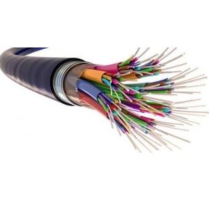 Digisol 12 core Single Mode OFC cable
