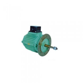 Cooling Fan Motor( For 25HP Motor)