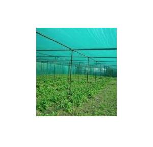 Green Net For Nursery 1 Mtr