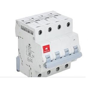 Havells DHMGCFPF040 PVC Plastic 40A MCB FP C Curve