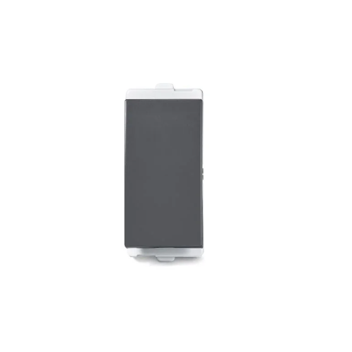 Schneider Opale 16 Amp Switch  (Coke Grey) AAKY1101