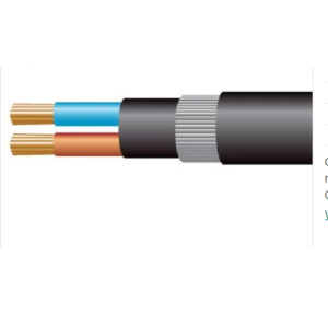 Havells 1.5 Sqmm 2 Core Armored Copper Cable, 100 Mtr Roll
