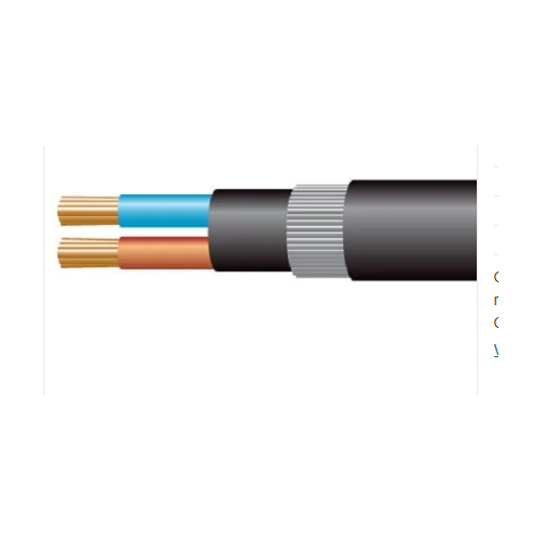 Havells 1.5 Sqmm 2 Core Armoured Copper Cable, 100 Mtr Roll