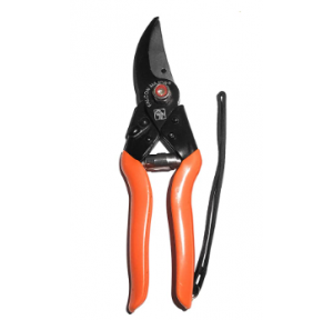 Pruning Secature - Professional Gardening Tool