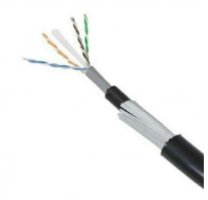 D-Link Cat 6 Armoured Cable, 1 Mtr