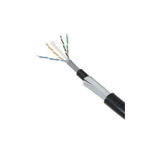 D-Link Cat 6 Armoured Cable, 1 Mtr
