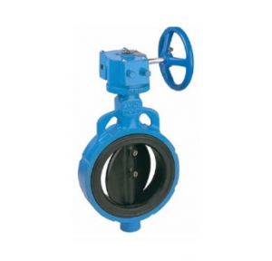 Advance CI Butterfly Valve 250 mm (Gear Operated, PN-16)