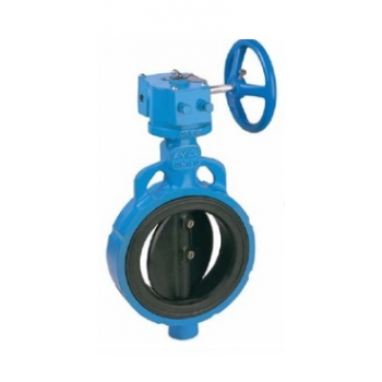 Advance CI Butterfly Valve 250 mm (Gear Operated, PN-16)
