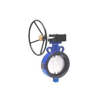 Advance CI Butterfly Valve 250 mm (Gear Operated, PN-16)