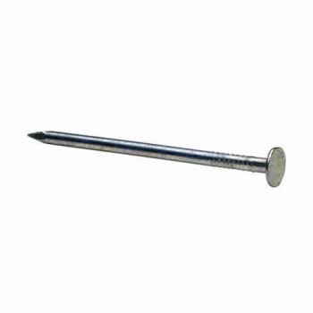 Iron Nail 2 Inch, 1 Grm