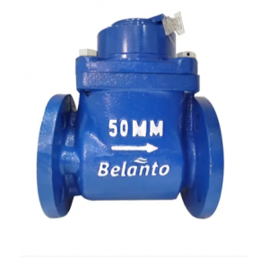 Belanto Water Flow Meter B Class Flanged End , 65 mm (With T Type Strainer)