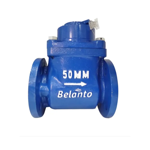 Belanto Water Flow Meter B Class Flanged End , 65 mm (With T Type Strainer)
