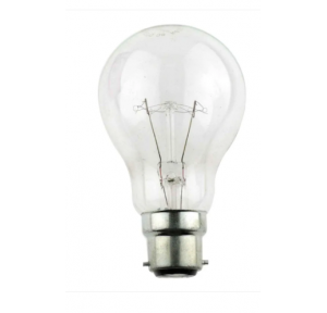Philips Clear Lamp Bulb 100 Watt