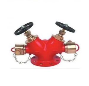 Hydrant Landing Valve (Two Way)