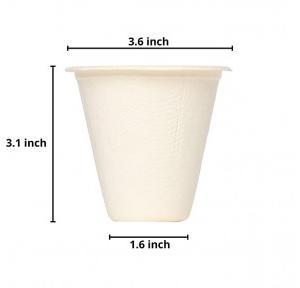 Bagasse Biodegradable Disposable Cup 220 Ml