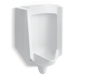 Kohler Bardon Urinal