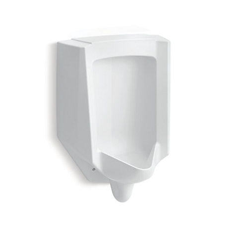 Kohler Bardon Urinal