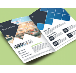 A4 Brochure Book (8 Pages), Cover Page - 250 Gsm & Inside Page - 130 Gsm, Matt Lamination