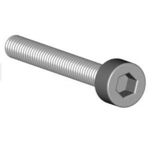 SS Cap Screws 1Inch