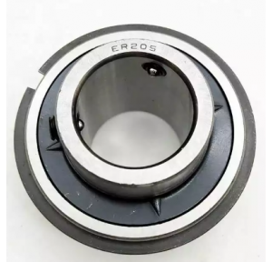 NTN ER 2 Normal Duty Ball Bearing ER 208-24