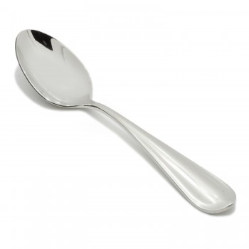 Stainless Steel Service Spoons 10 Inches
