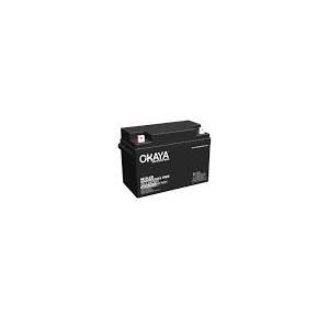 Okaya Battery SMF 12V 100Ah (OB100-12)