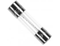 Glass Fuse 6 Amps 125V
