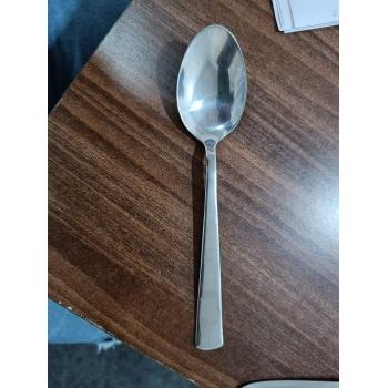 Spoon Stainless Steel 18 cm (16 Gauge)