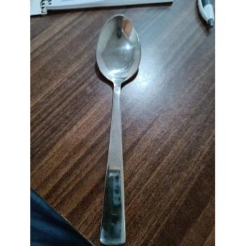 Spoon Stainless Steel 18 cm (16 Gauge)