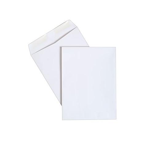Taj Mahal Commercial White Envelope 100 gsm, 6x3.5 Inch