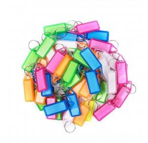 Standard Ring Type Plastic key