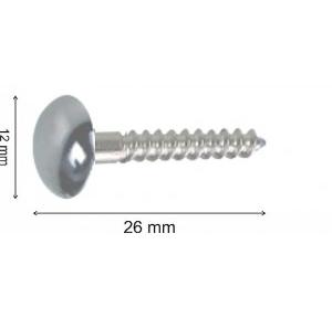 Brass Mirror Screw 1 Inches Pack of 100