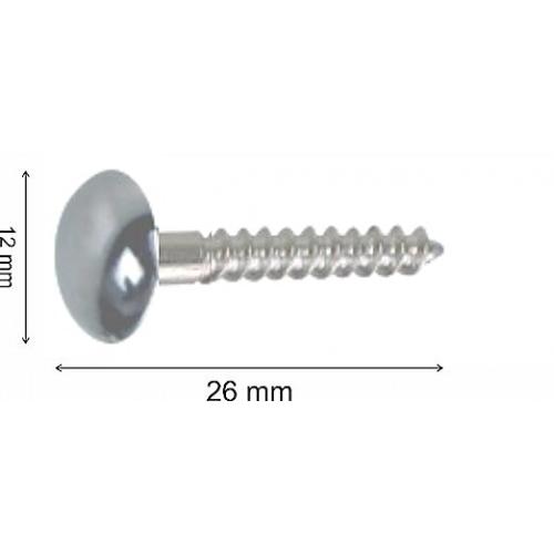 Brass Mirror Screw 1 Inches Pack of 100