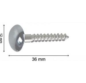 Mirror Cap Screw 1.5 inch, 1 Pcs