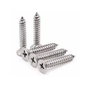 Self Drilling Full Thread SS Screw 4 Inch