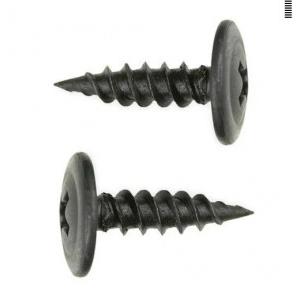 Drywall Mild Steel Screw 1/2 Inch  Polished 1 Kg