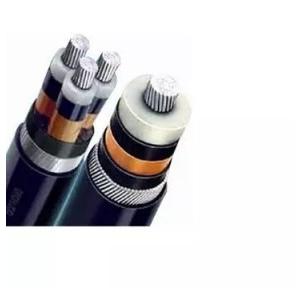 Polycab Aluminium Conductor  Armoured A2XWY LT Power Cable 1mtr 2.5 Sq.mm 3Core