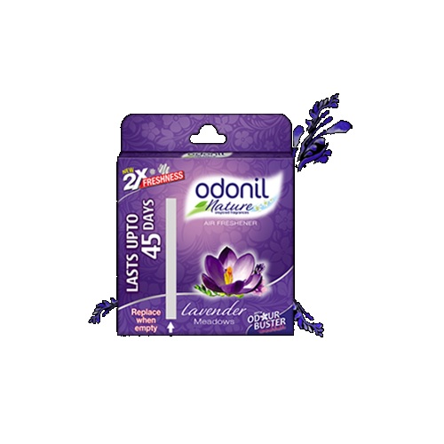 Buy Odonil Toilet Air Freshener Lavander 75 Gm Online At Best