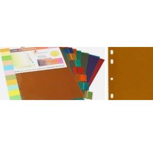 Plastic Separator  For File A4