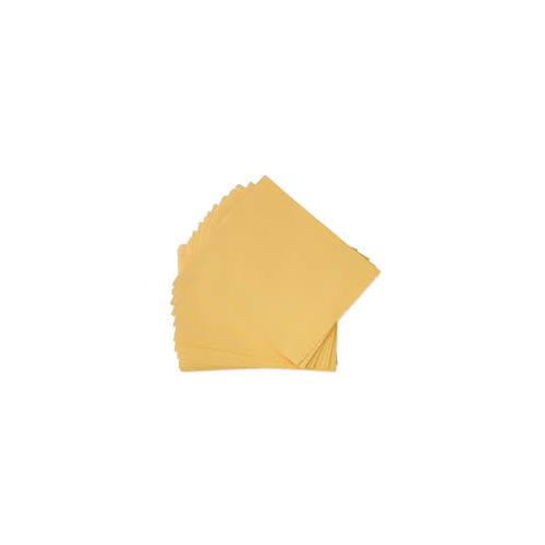 Trison Yellow Laminated Envelopes 12x10 inch 100 GSM (Pack of 50)