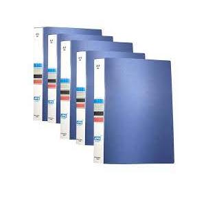 Rajdoot Display File Deluxe Size A/4 40L