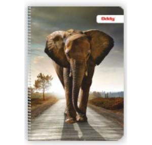 Oddy Metal Spiral Note Book MSP-A4-240 3S Size A4 (21x29.7)cm 1/4 240 Pages 3 Subject