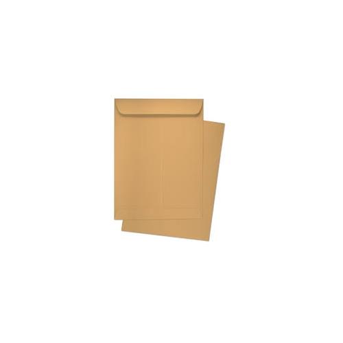 Oddy Eco Friendly Envelope ENB-8x10 Size 8x10inch 100GSM Biodegradable Brown (Pack of 50pcs)