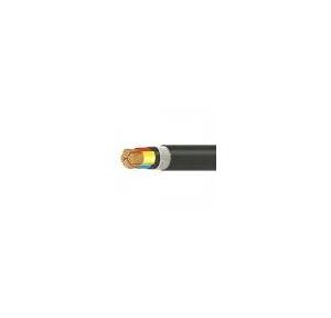 Polycab Copper Armoured Control Cable 2XWY/2XFY 4 Core 2.5 Sqmm 1 Mtr