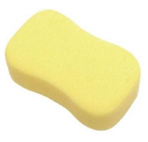 Sponge Standard Size