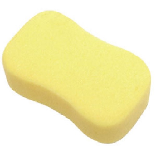 Sponge Standard Size