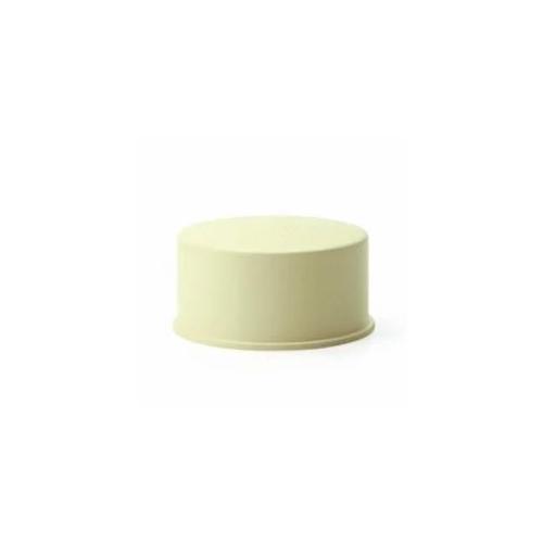 Prince CPVC End Cap 20mm