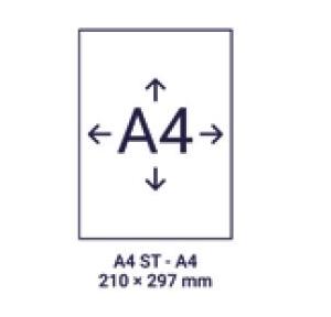 Trison Self Adhesive Labels A4 Size ST-A4 210 x 297mm (100 Sheets)