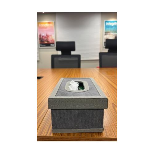 Maspar Rebecca Grey Tissue Box Holder Dimension 25.5 X 11.4 X 10.8 CM