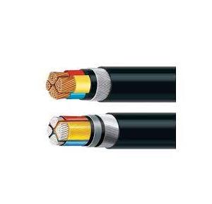 Polycab Aluminium Armoured Cable XLPE Insulated A2XWY/A2XFY 10 Sqmm 4 Core , 1 Mtr
